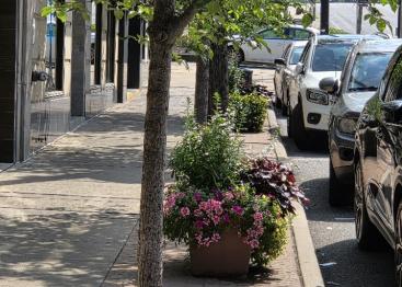 Street View 1